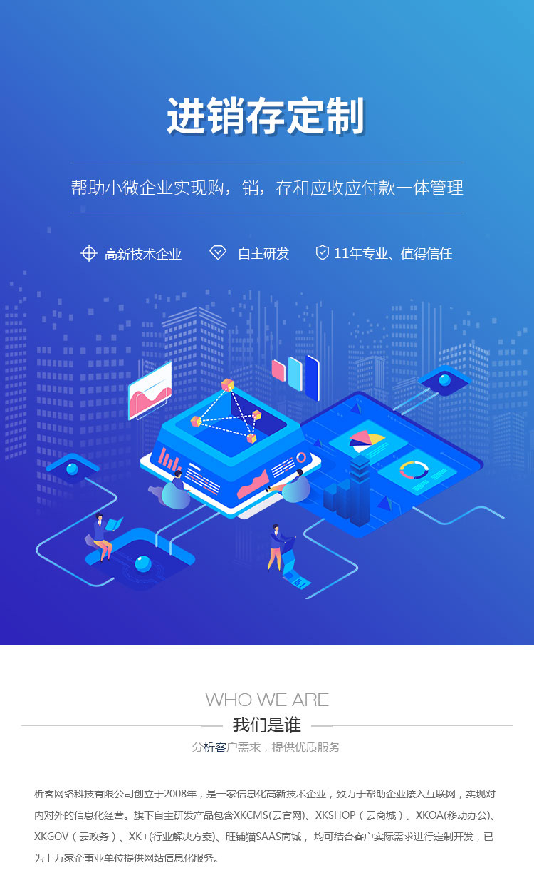 企业信息化管理新方案——定制化进销存系统